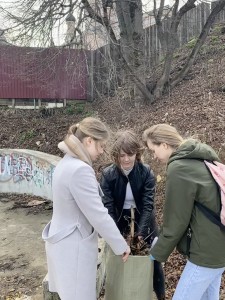 image1 (1)